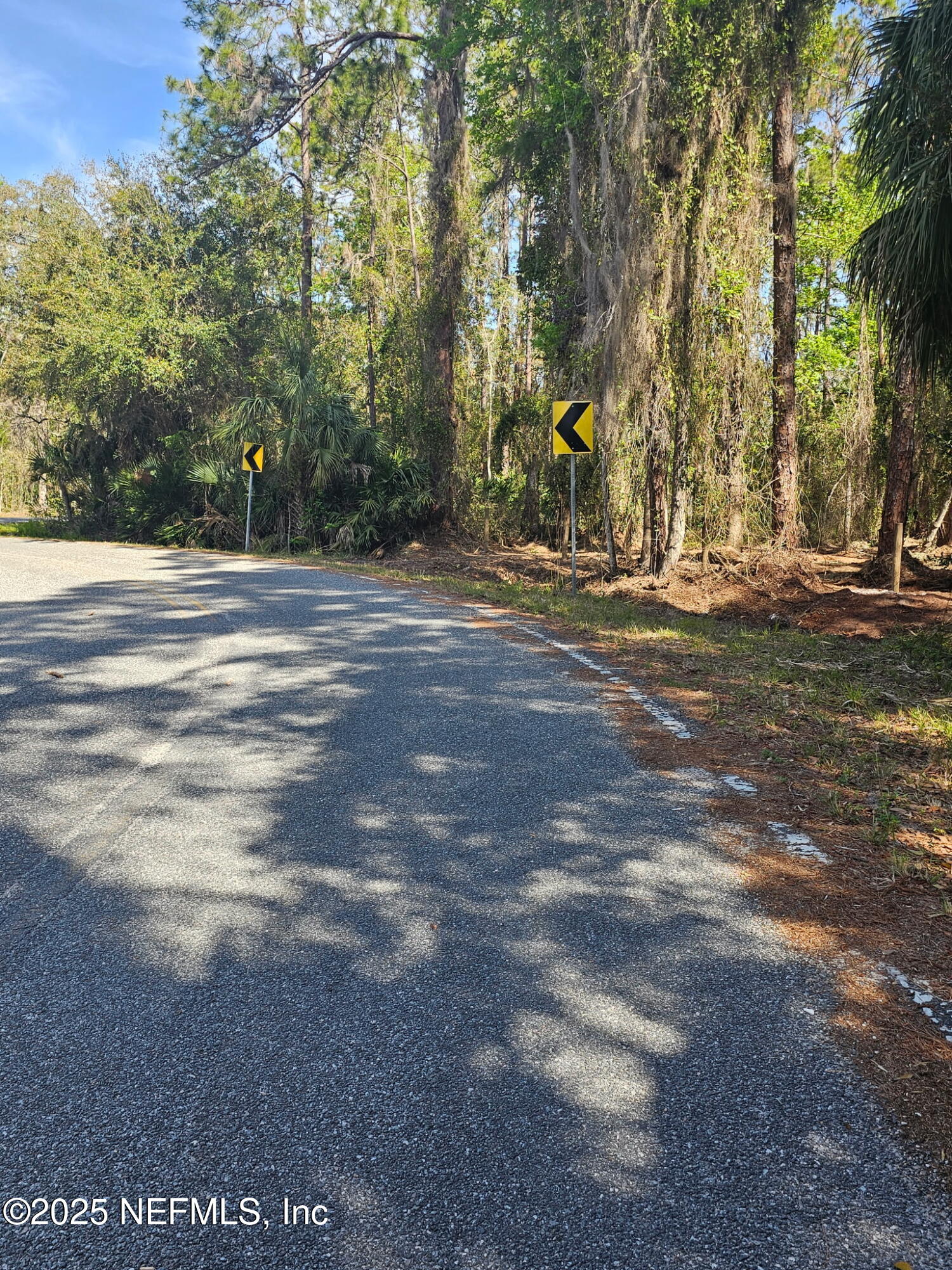102 Georgetown Point Road Georgetown, FL 32139 - Photo 1 of 13 102 Georgetown Point