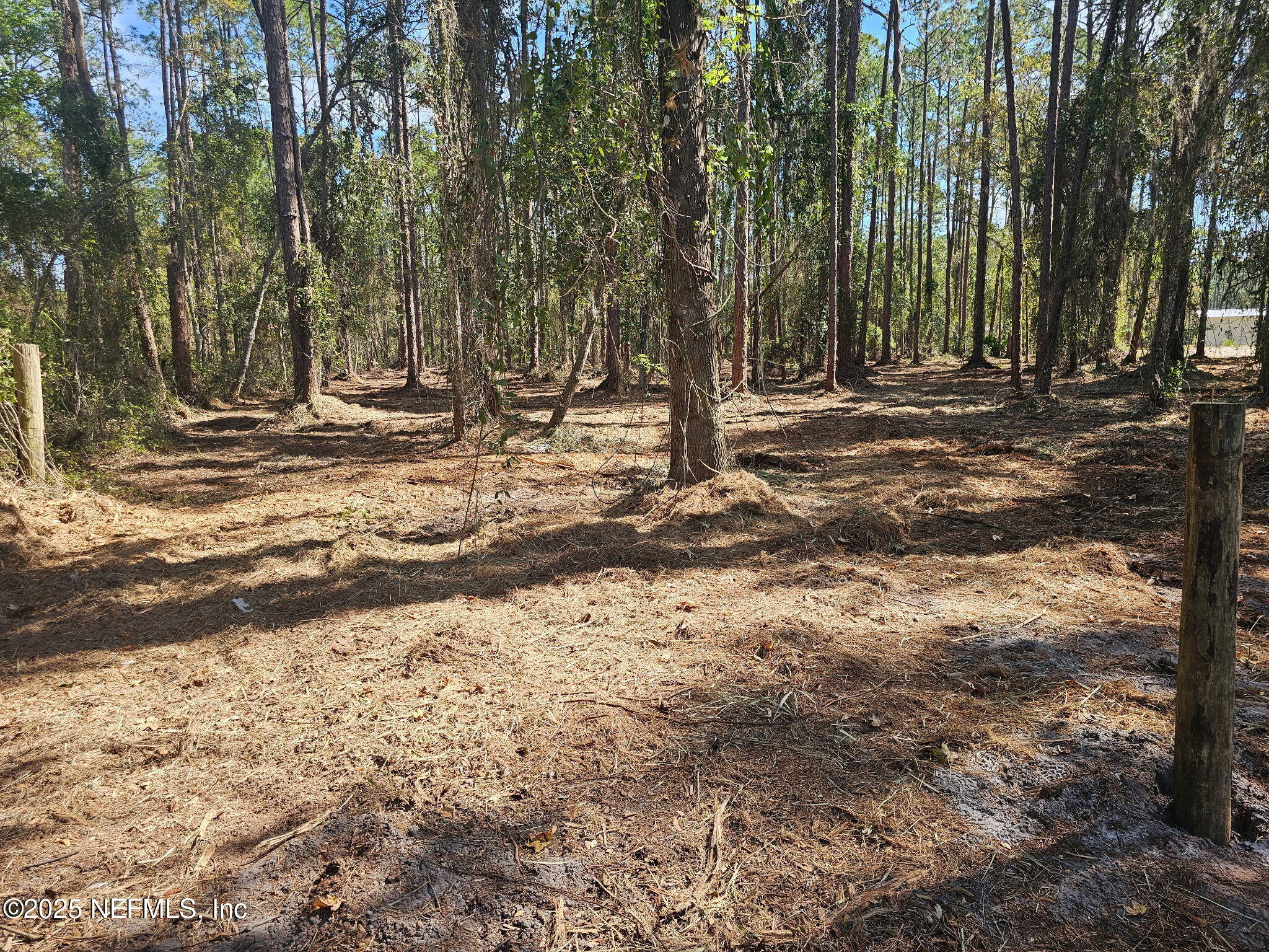 102 Georgetown Point Road Georgetown, FL 32139 - Photo 2 of 13 102 GT Point Rd 1