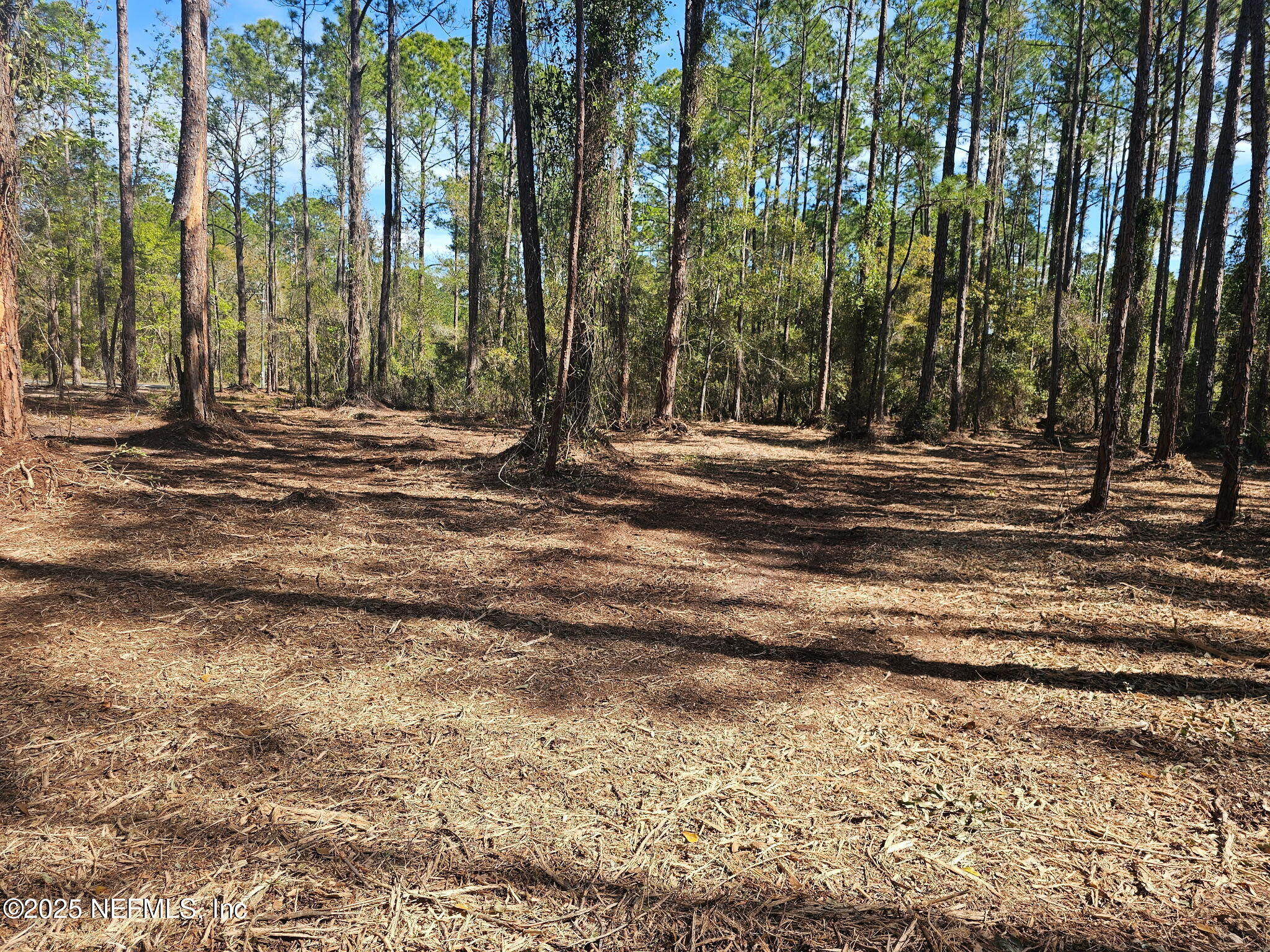 102 Georgetown Point Road Georgetown, FL 32139 - Photo 4 of 13 102 GT Point Rd 3