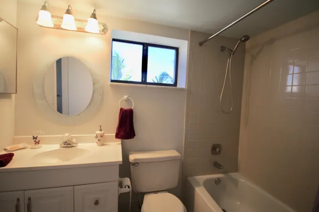 a view of three palm trees