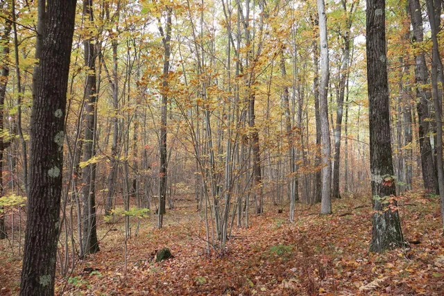 $389,000 | 1547 North Harrison Avenue, Harrison, MI 48625