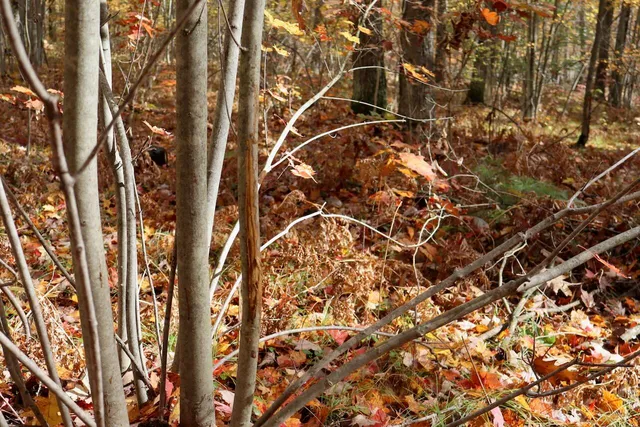 $389,000 | 1547 North Harrison Avenue, Harrison, MI 48625