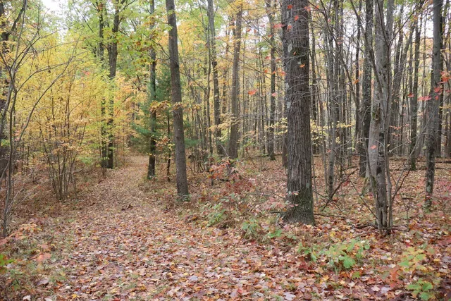 $389,000 | 1547 North Harrison Avenue, Harrison, MI 48625