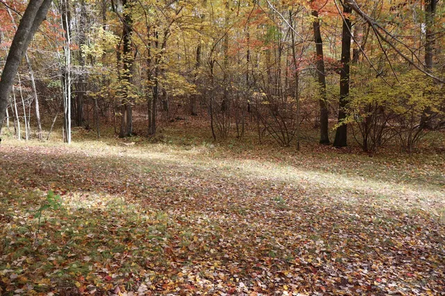 $389,000 | 1547 North Harrison Avenue, Harrison, MI 48625