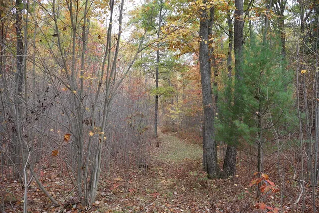 $389,000 | 1547 North Harrison Avenue, Harrison, MI 48625