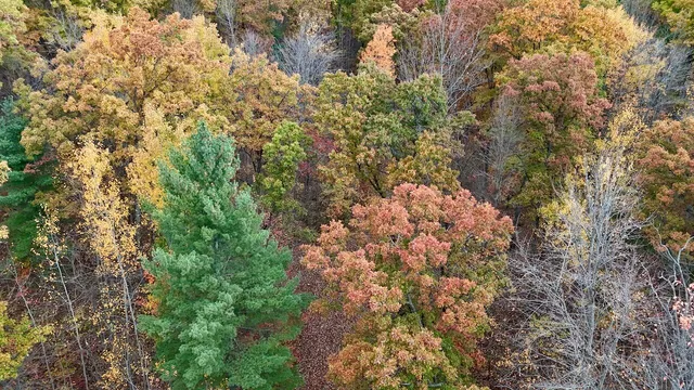 $389,000 | 1547 North Harrison Avenue, Harrison, MI 48625