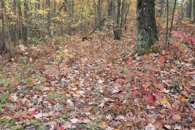 $389,000 | 1547 North Harrison Avenue, Harrison, MI 48625