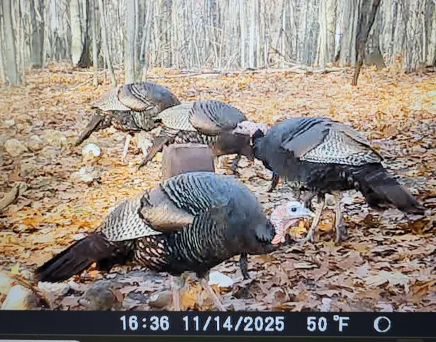 $389,000 | 1547 North Harrison Avenue, Harrison, MI 48625