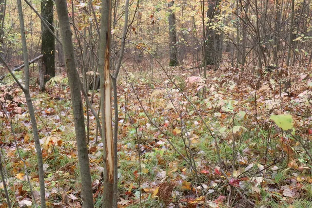 $389,000 | 1547 North Harrison Avenue, Harrison, MI 48625