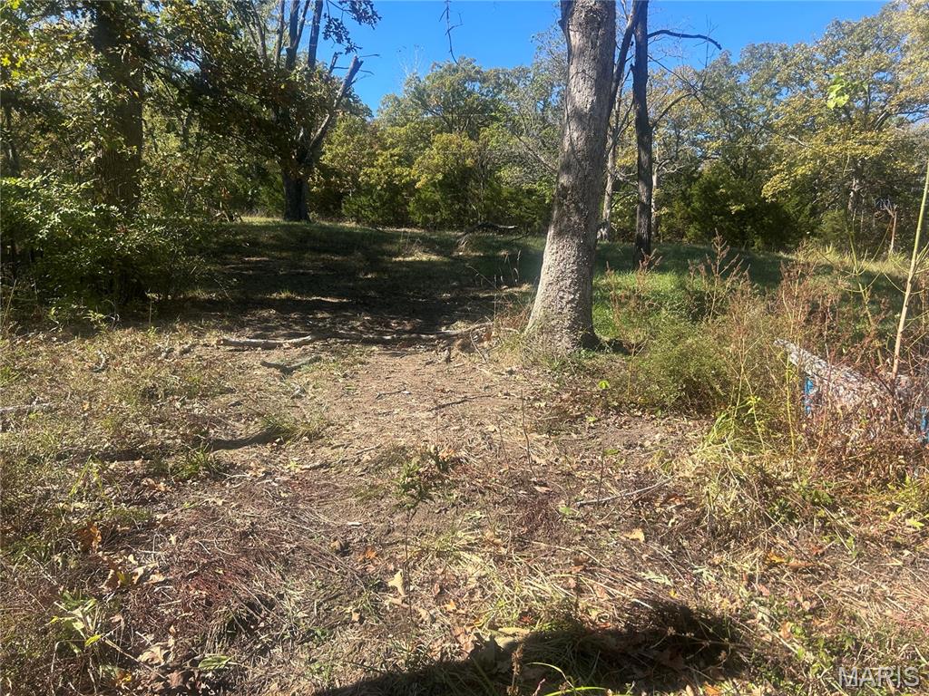 5546 Dry Branch Road St. Clair, MO 63077 - Photo 4 of 12