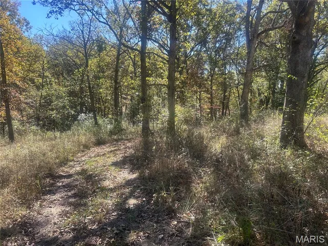 $72,900 | 5546 Dry Branch Road, St. Clair, MO 63077