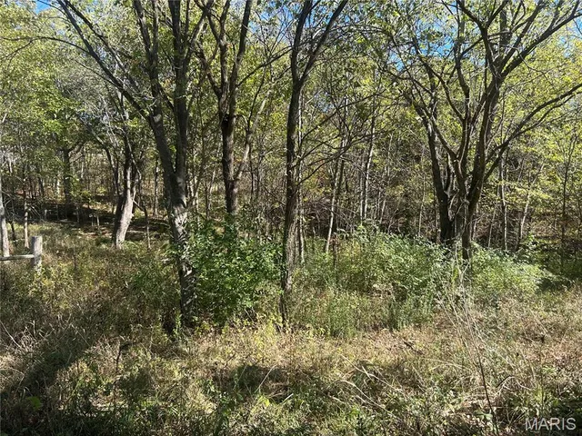 $69,900 | 5546 Dry Branch Road, St. Clair, MO 63077