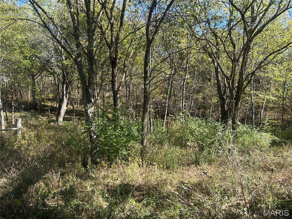 5546 Dry Branch Road St. Clair, MO 63077 - Photo 8 of 12