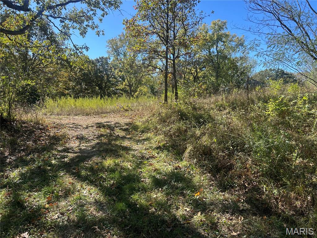 5546 Dry Branch Road St. Clair, MO 63077 - Photo 9 of 12