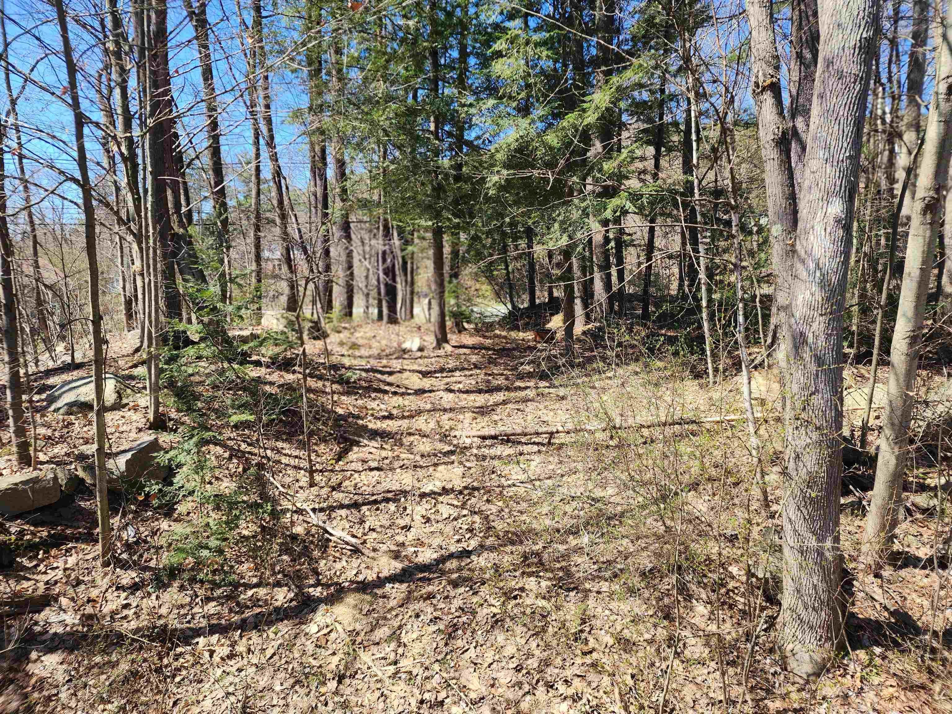 19 Wolf Road Lebanon, NH 03766 - Photo 21 of 29