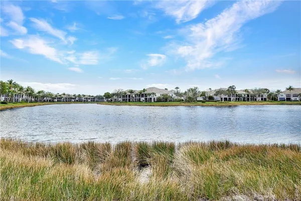 a view of a lake with a city view