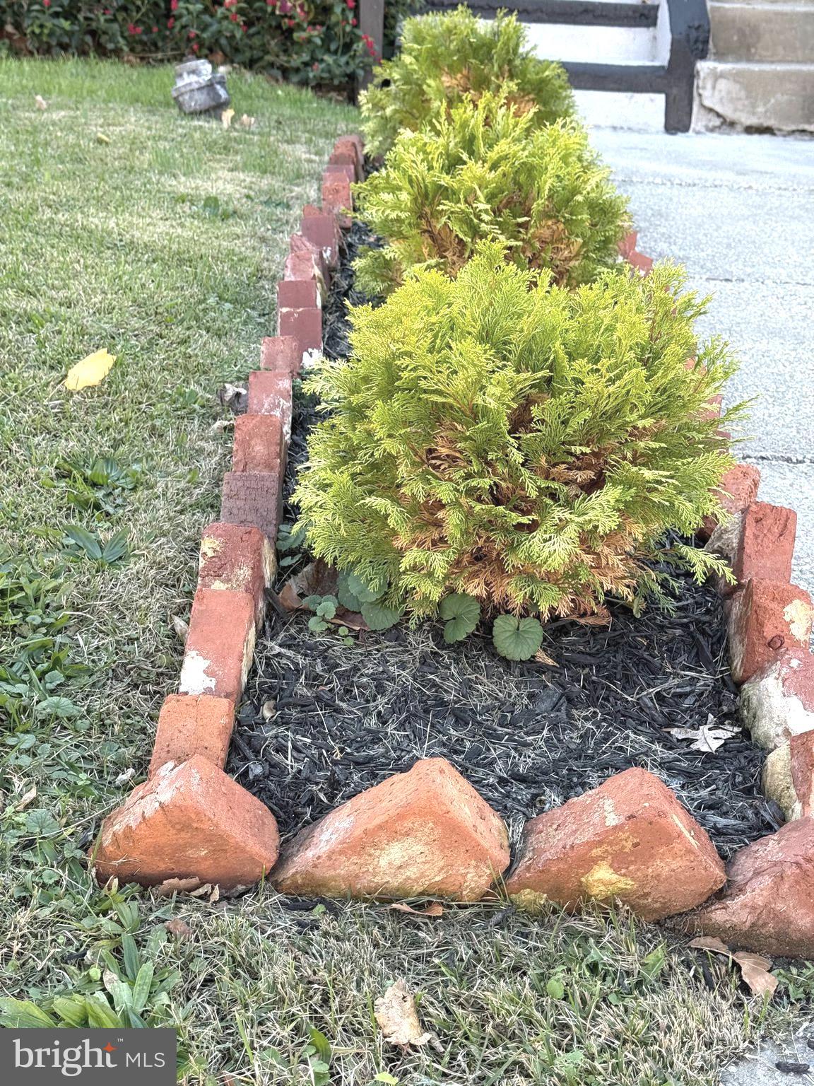 815 East Cold Spring Lane Baltimore, MD 21212 - Photo 6 of 43 a view of an outdoor space