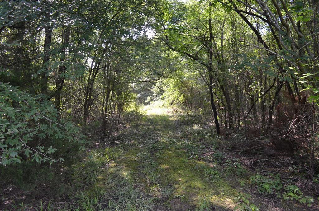 760 County Road, Unit 2315 Eustace, TX 75124 - Photo 14 of 19 a view of forest