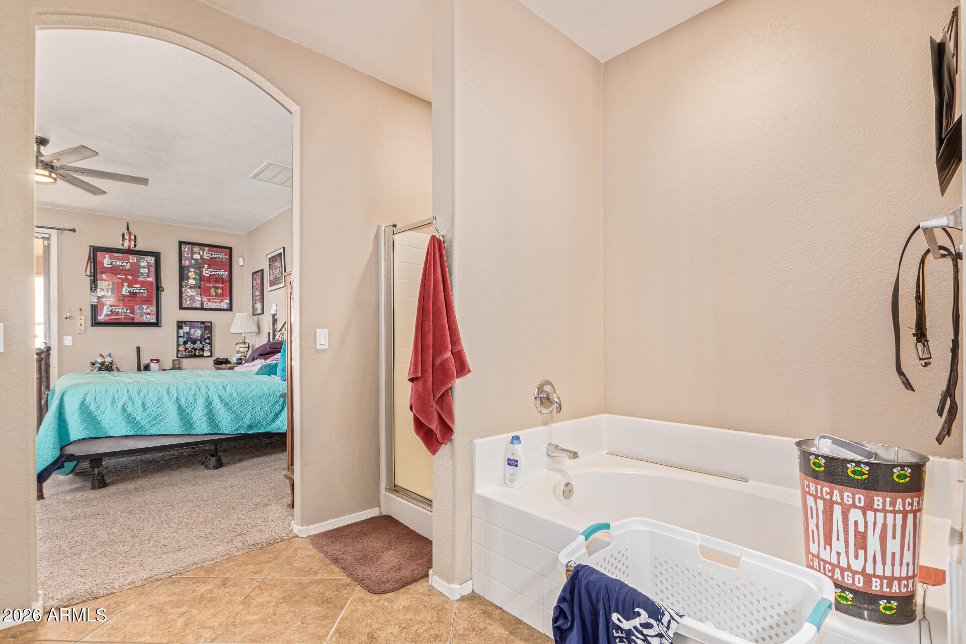 45713 West Mountain View Road Maricopa, AZ 85139 - Photo 35 of 35 23-Mountain View