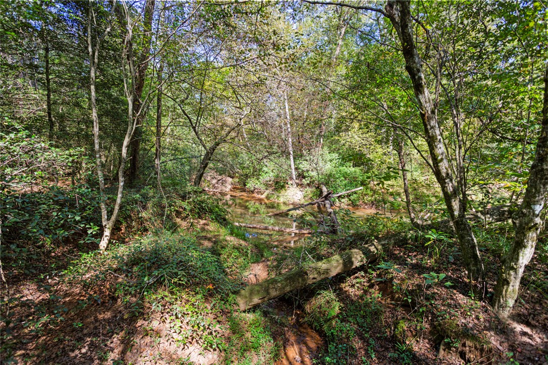 621 Burns Mill Road West Union, SC 29696 - Photo 28 of 41