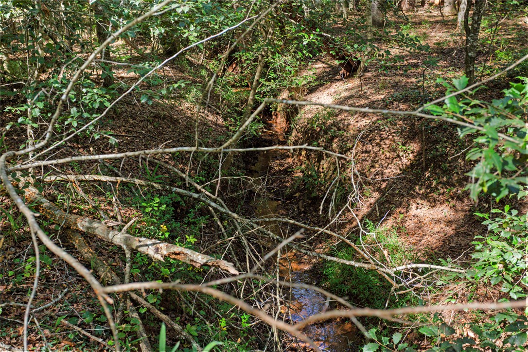 621 Burns Mill Road West Union, SC 29696 - Photo 29 of 41