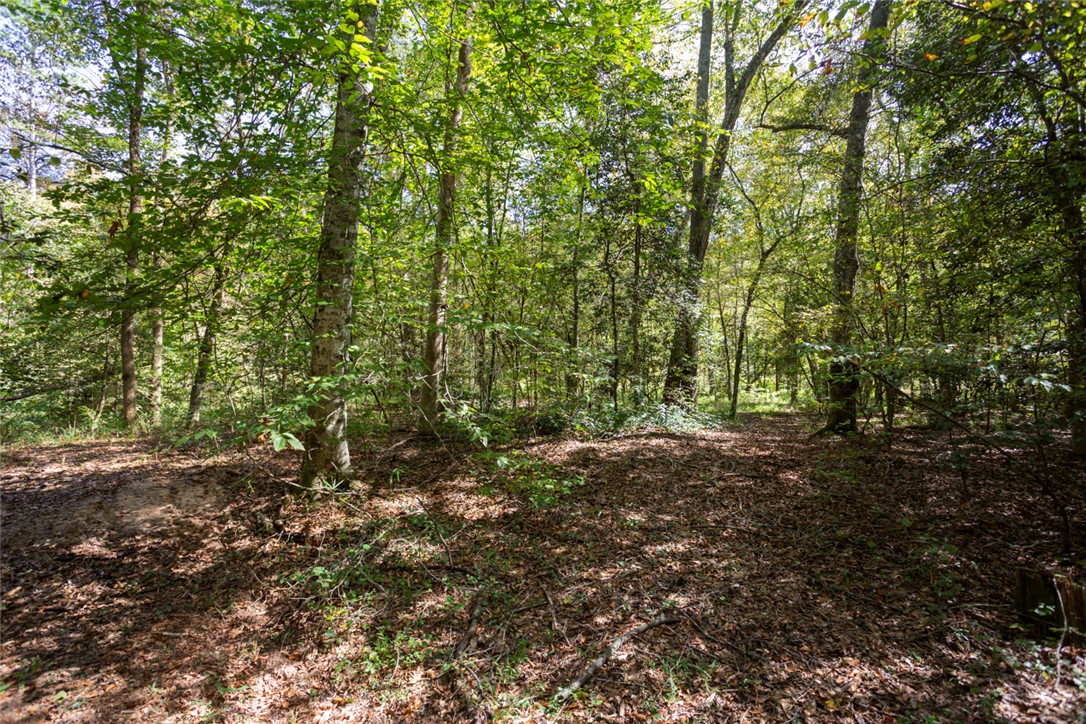 621 Burns Mill Road West Union, SC 29696 - Photo 31 of 41