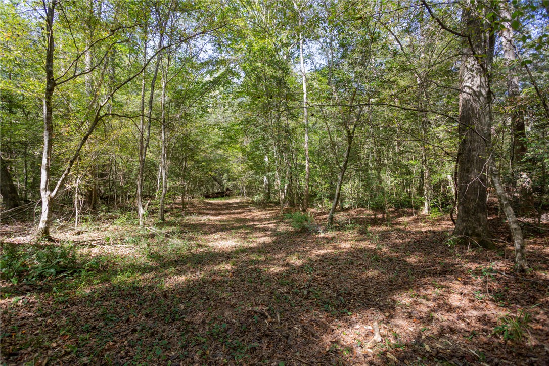 621 Burns Mill Road West Union, SC 29696 - Photo 32 of 41