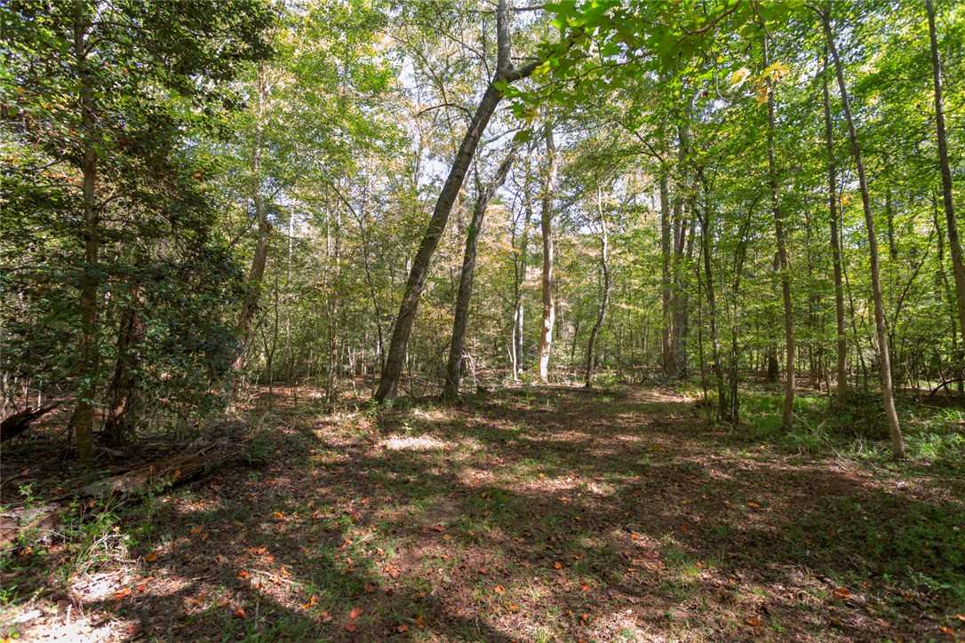 621 Burns Mill Road West Union, SC 29696 - Photo 33 of 41