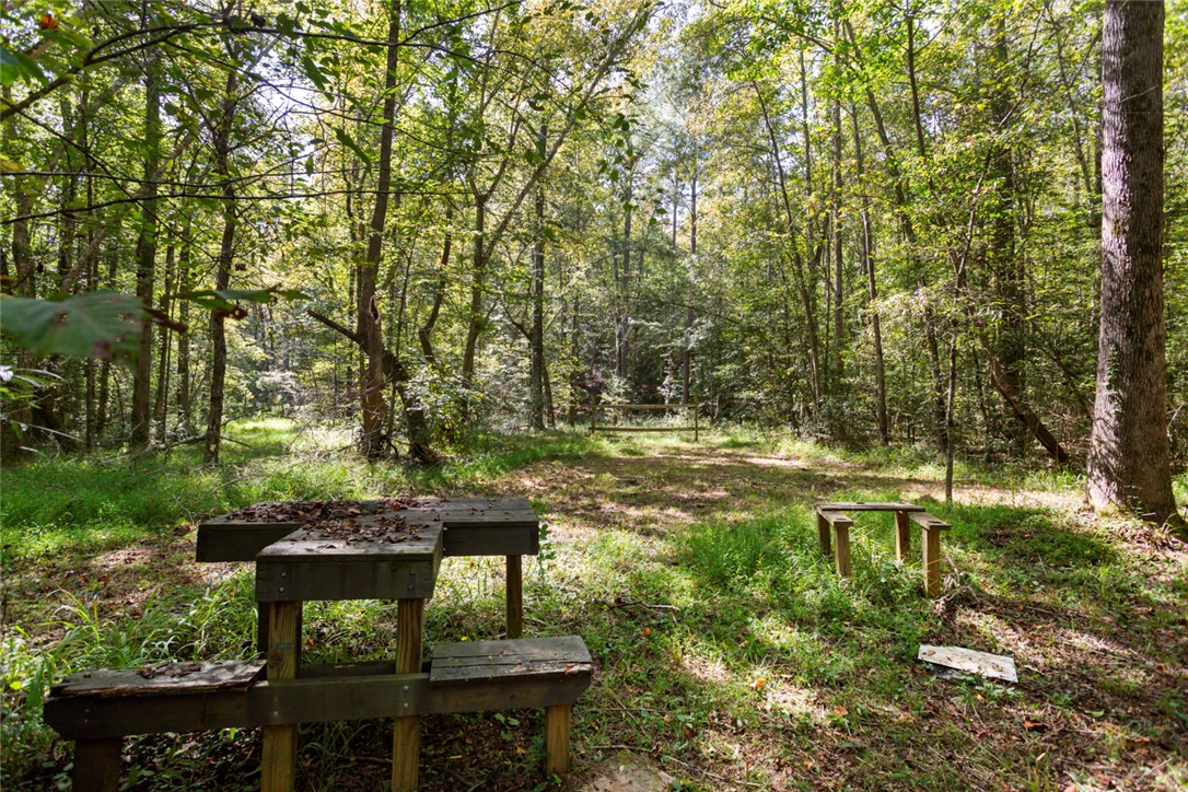 621 Burns Mill Road West Union, SC 29696 - Photo 34 of 41