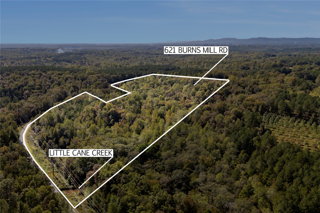 621 Burns Mill Road West Union, SC 29696 - Photo 39 of 41