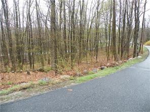 1079 W Road Bowdoin, ME 04287 - Photo 5 of 27 Front yard left