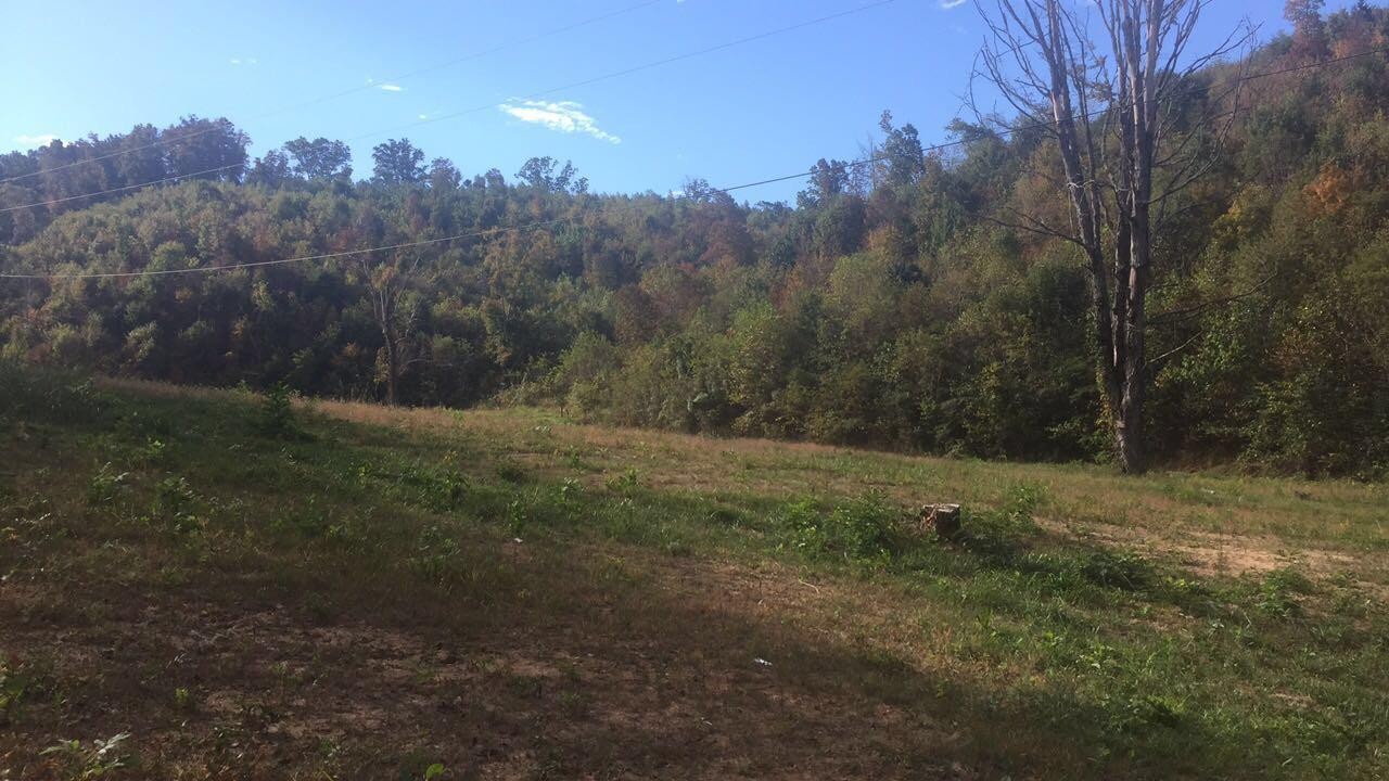 0 Hodgetown Road Rutledge, TN 37861 - Photo 1 of 9 a view of outdoor space with green field and trees all around