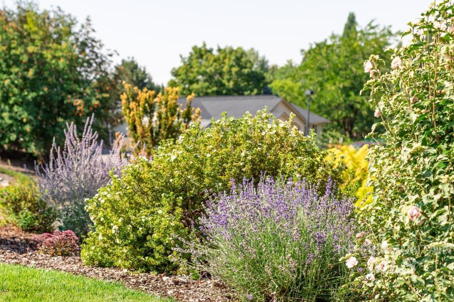 1933 Fletcher Place Moscow, ID 83843 - Photo 42 of 44 View of yard