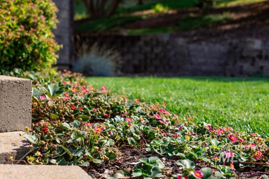 1933 Fletcher Place Moscow, ID 83843 - Photo 44 of 44 Exterior view