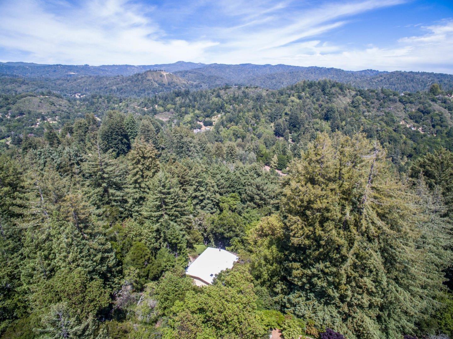 655 Aurora Road Soquel, CA 95073 - Photo 21 of 22 a view of a forest with a sink