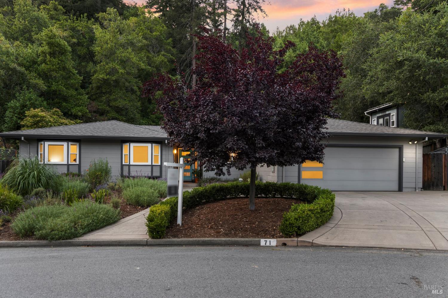 a front view of a house with yard