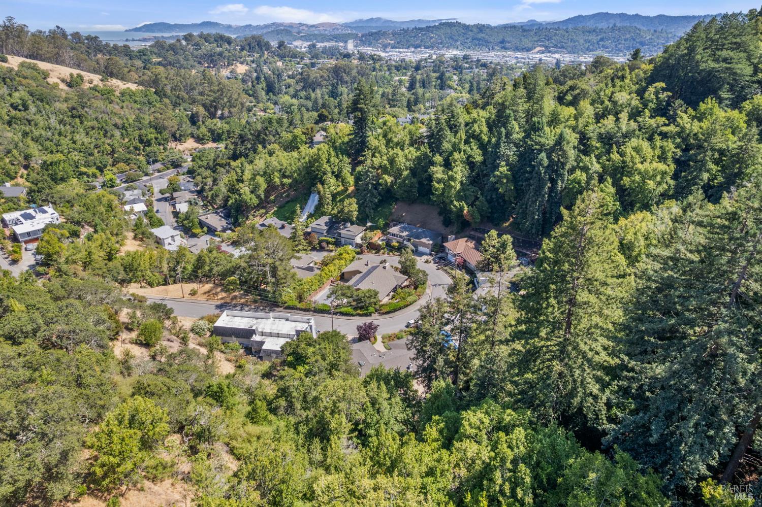 71 Convent Court San Rafael, CA 94901 - Photo 36 of 37 a view of a lush green field with lots of bushes