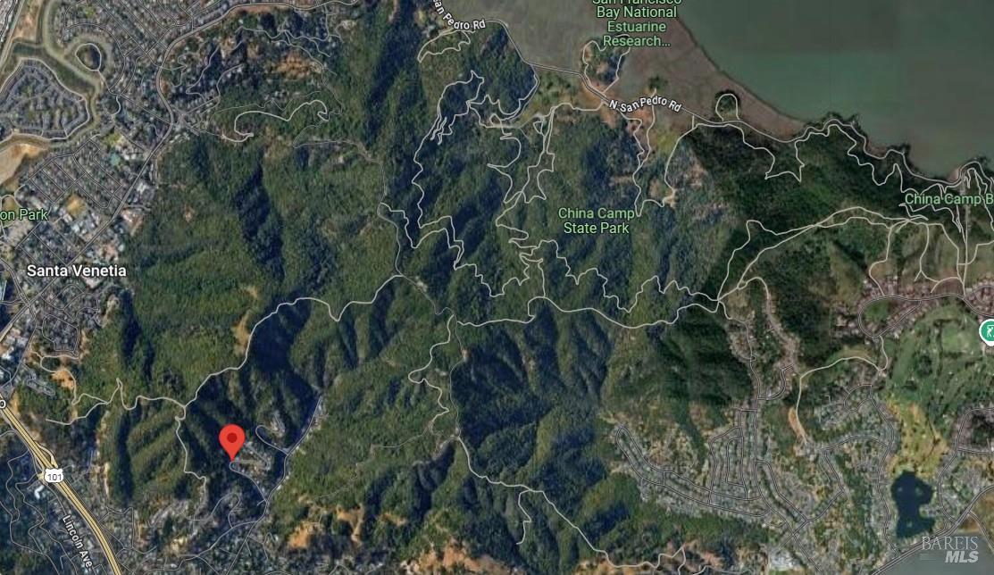 71 Convent Court San Rafael, CA 94901 - Photo 37 of 37 a view of banana tree