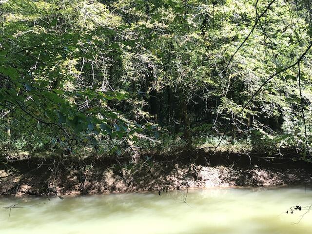 22 Athens Road Delano, TN 37325 - Photo 7 of 8 CHestuee 22 riverfront