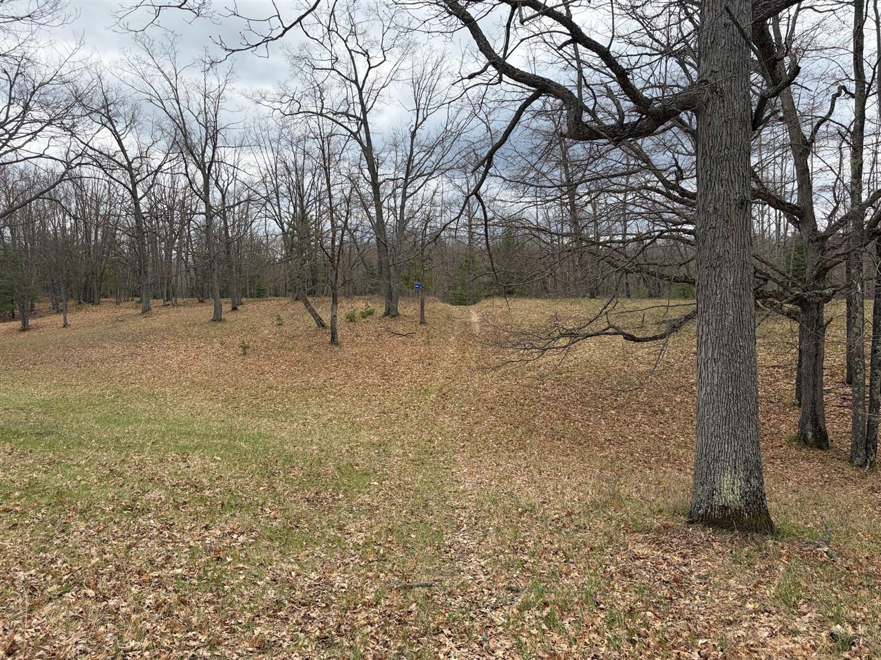10838 Broad Road Lachine, MI 49753 - Photo 67 of 96