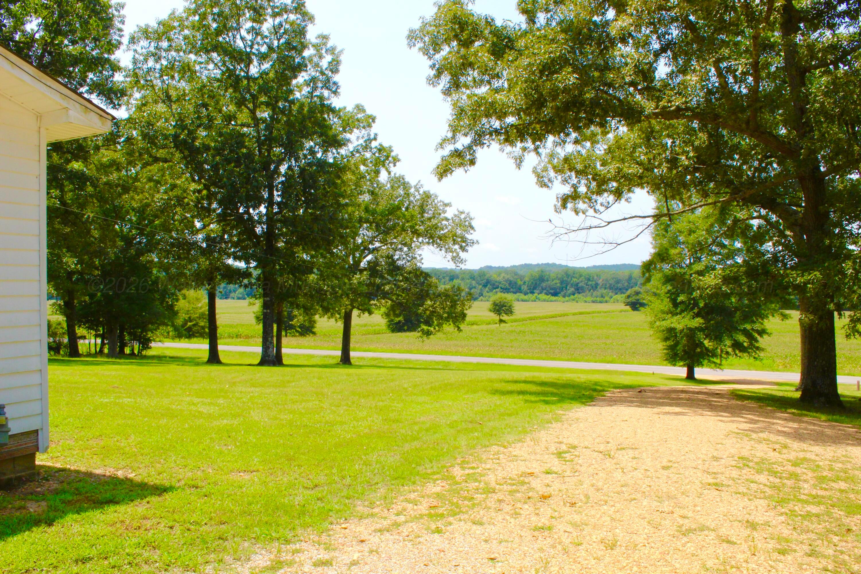 1314 Hubbert Dairy Road Guin, AL 35563 - Photo 30 of 30 Gallery Image 30