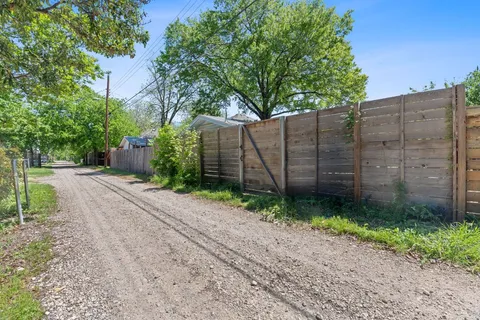 a view of a backyard with plants and a large tree
