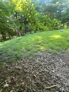 443 Friendship Road Ringgold, GA 30736 - Photo 26 of 28 IMG_9300