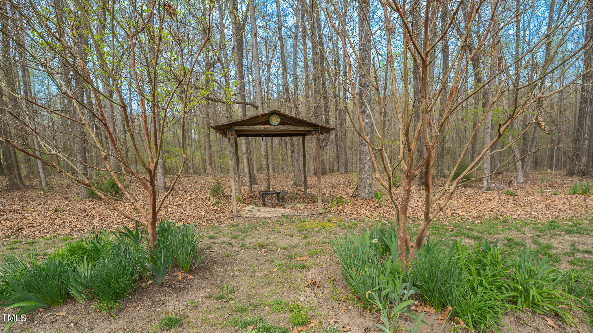 1342 Paynes Tavern Road Roxboro, NC 27574 - Photo 71 of 71 DSC01500