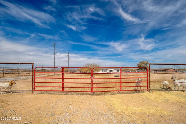 a view of an ocean beach