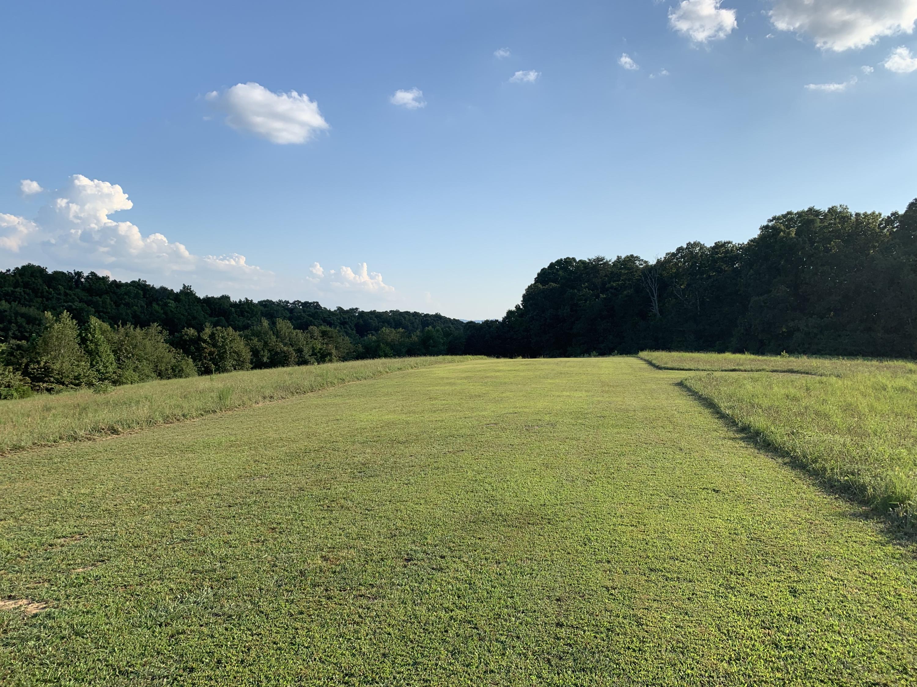 8784 Watt Cemetery Road Loudon, TN 37774 - Photo 11 of 17 airstrip