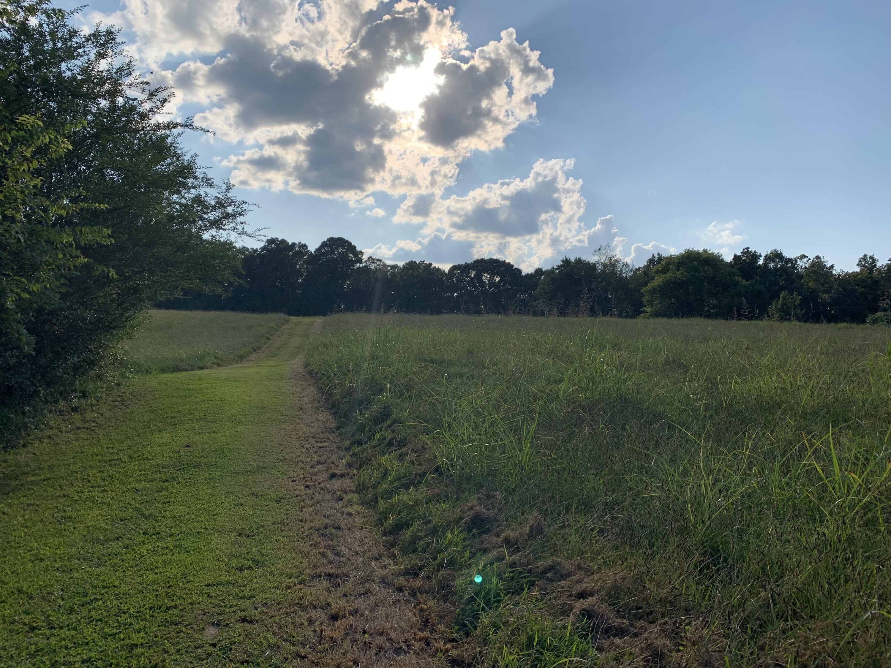 8784 Watt Cemetery Road Loudon, TN 37774 - Photo 10 of 17 field