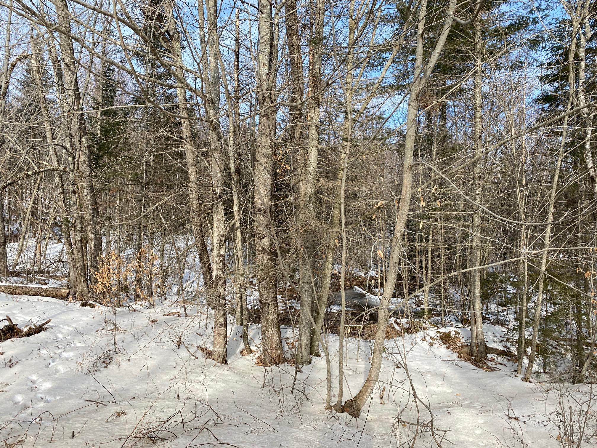 0 Bailey Road Knox, ME 04986 - Photo 3 of 4 IMG_3109