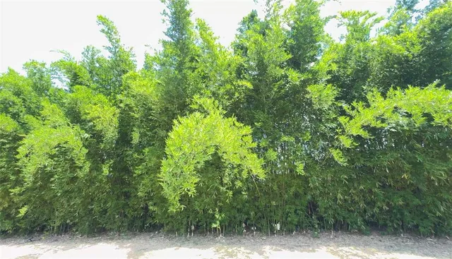 $849,000 | 4925 North US Highway 441, Ocala, FL 34475