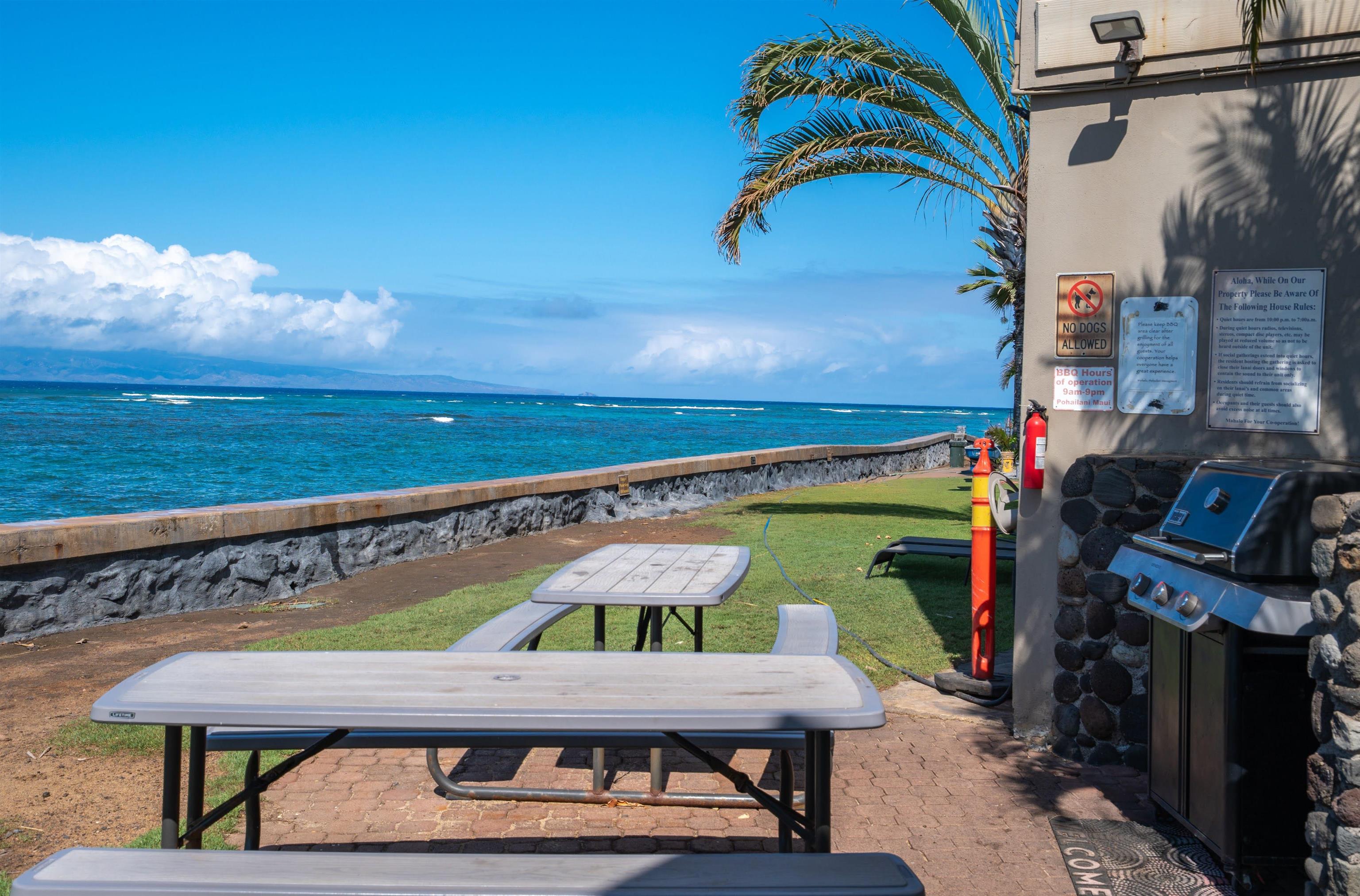 4440 Lower Honoapiilani Road, Unit 221 Lahaina, HI 96761 - Photo 26 of 30